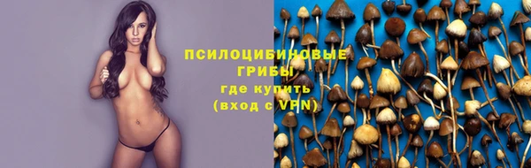 синтетический гашиш Гусиноозёрск