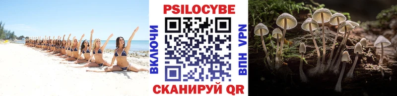 где купить   Полярный  кракен рабочий сайт  Галлюциногенные грибы GOLDEN TEACHER 