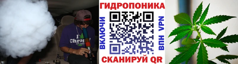 купить закладку  Полярный  Конопля семена 